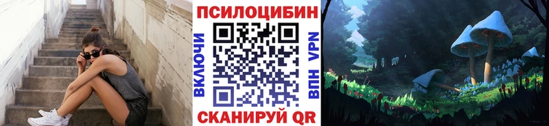 Галлюциногенные грибы GOLDEN TEACHER  Купить закладки  Котельники 