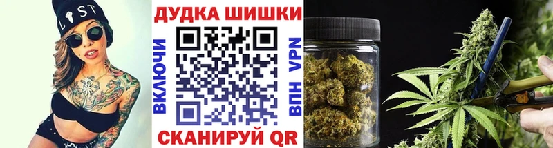 Бошки Шишки семена  Купить закладки  Котельники 